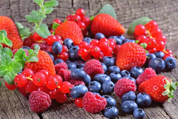 Wild berries — Stock Photo, Image