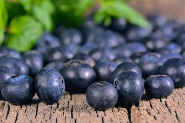 Blaubeeren — Stockfoto