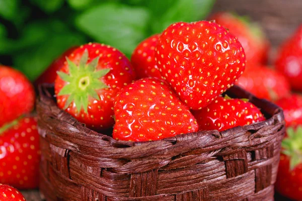 Erdbeerfrüchte — Stockfoto