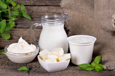 Süt Ürünleri 