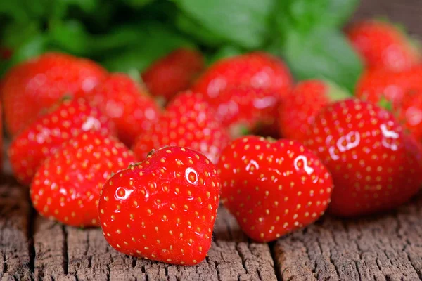 Erdbeerfrüchte — Stockfoto