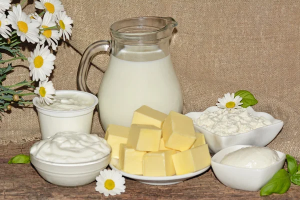 Dairy products — Stock Photo, Image