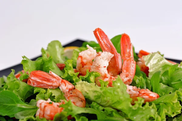 Salad with shrimp — Stock Photo, Image