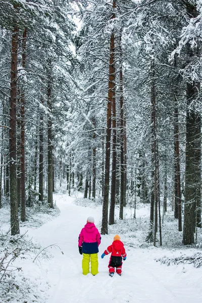 stock image Two children in snow pine forest