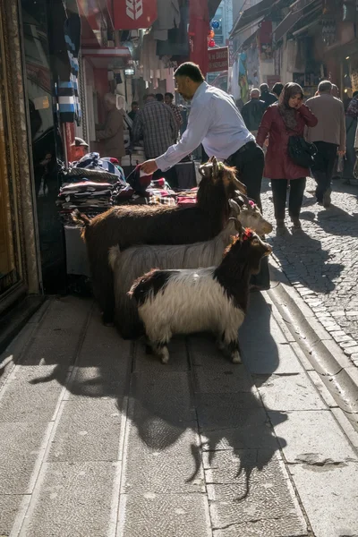 Istanbul, Turquie - 4 novembre 2015 : Vente de vêtements en laine dans le quartier commerçant d'Istanbul — Photo