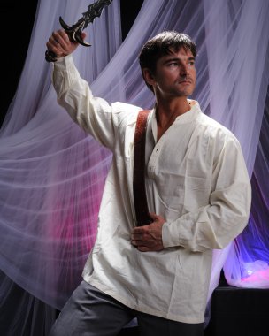 Yakışıklı viking