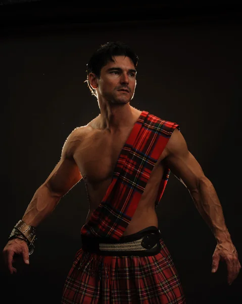 Highlander caldo — Foto Stock