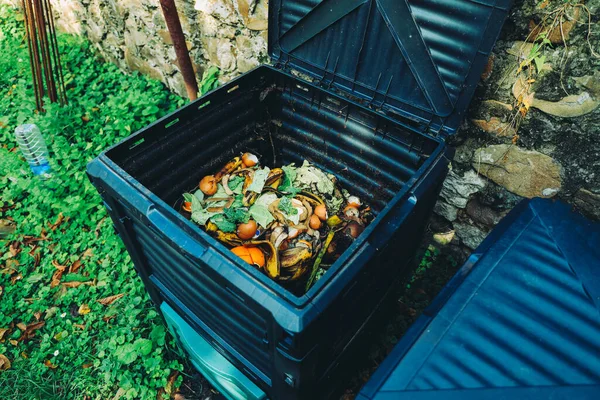 Kompost Koš Organickým Odpadem Zahradě Vedle Kamenné Zdi Ekologické Zemědělství — Stock fotografie