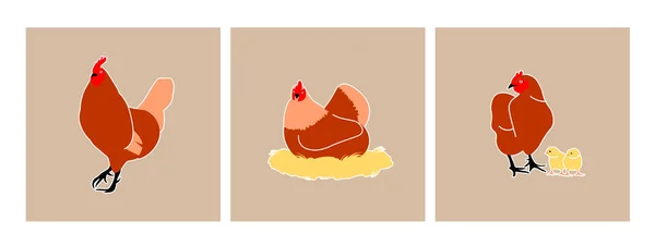 小鸡和公鸡的一组病媒图像 — 图库矢量图片