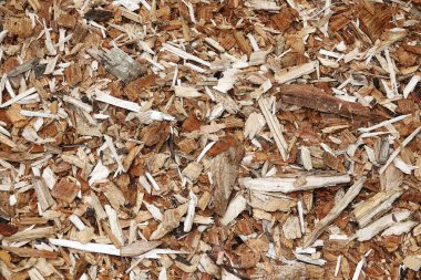 Beyaz, gri ve kahverengi ahşap yongaları soyut bir doğal arkaplan, doku.                         