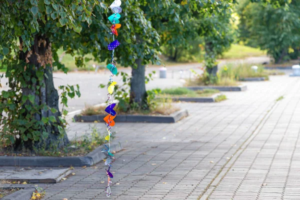 Uma Grinalda Corações Multicoloridos Pende Uma Árvore Beco Parque Verão — Fotografia de Stock