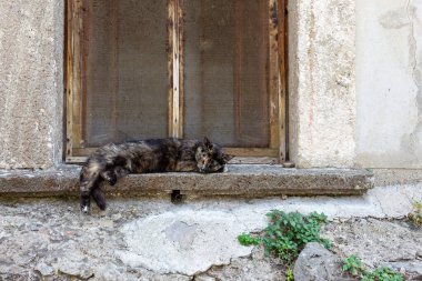 Karanlık bir kedi, sıcak bir yaz gününde eski bir evin taş pencere eşiğinde tatlı tatlı uyur.