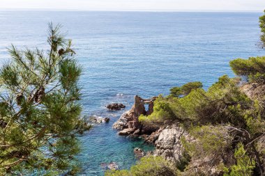 Araştırmanın tepesinden manzara - kayalık bir sahili olan bir deniz manzarası, berrak deniz suyu ve çam ağaçları. Lloret de Mar, İspanya. 