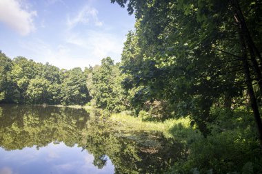 Ormanın arka planında huzur, park, gölet ve suda yansıyan mavi gökyüzü.