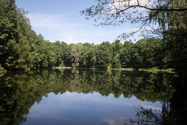 Ormanın arka planında barış, park, gölet ve suda yansıyan mavi gökyüzü.