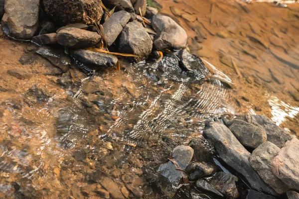 Fechar Pedra Que Usam Para Fazer Barragem Rio Com Vapor — Fotografia de Stock