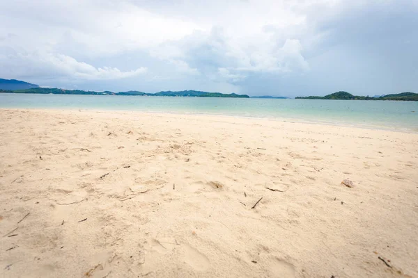 Вид Пляж Веткой Оторвавшейся Сосны Песке — стоковое фото