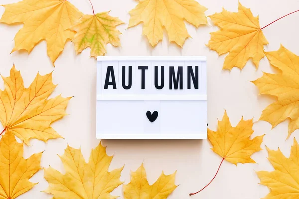 Piękne, autumn klonowe listowie tła. upadek season natura — Zdjęcie stockowe