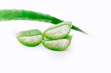 Aloe vera slices on white background, close up