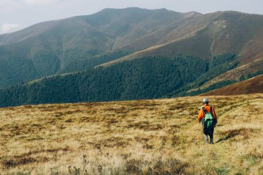 Erkek gezgin, güzel dağların arka planında, tarlada yürüyor.