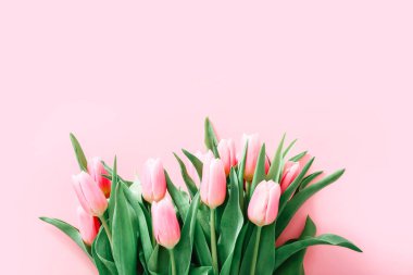 Hafif pembe lalelerden oluşan bir buket açık pembe arka plan, üst manzara.