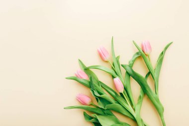 Hafif pembe lalelerden oluşan bir buket açık arkaplan, üst manzara.