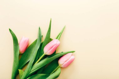 Hafif pembe lalelerden oluşan bir buket açık arkaplan, üst manzara.