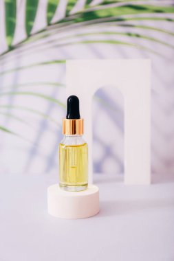 Serum ya da arka planda palmiye yaprağı olan gerekli yağ şişesi. Doğal organik kozmetik