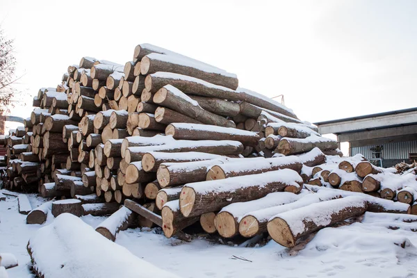 Woodworking factory, warehouse, drying — Stock Photo, Image