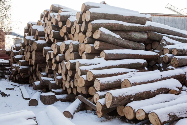 Woodworking factory, warehouse, drying — Stock Photo, Image