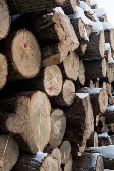 Woodworking factory, warehouse, drying — Stock Photo, Image