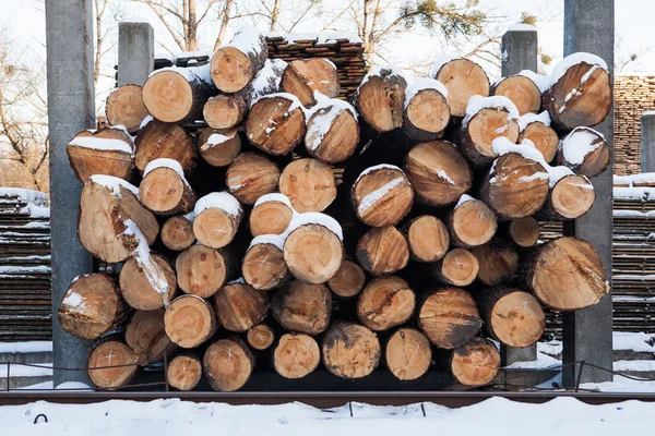 Woodworking factory, warehouse, drying — Stock Photo, Image