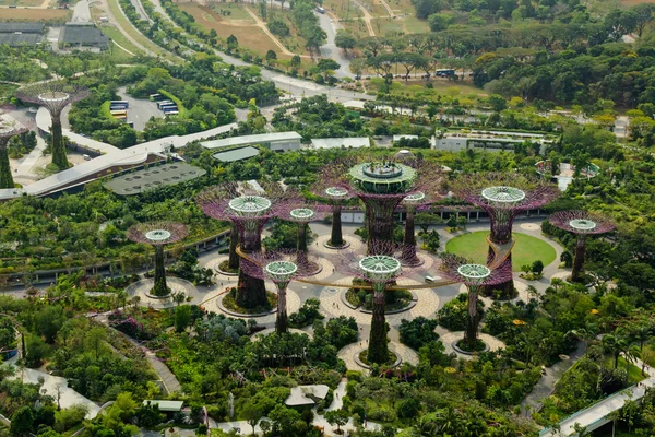 Superárboles en jardines junto a la bahía desde la parte superior, Singapur — Foto de Stock