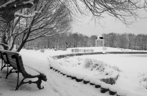 Lugna vintermorgon i parken i svartvitt — Stockfoto