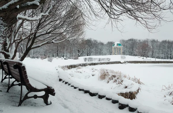 Tranquilo inverno manhã no parque — Fotografia de Stock