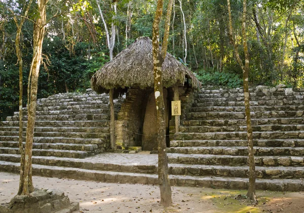 Antik Maya tapınak ormanda, Meksika kaybetti