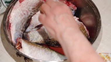 Genç adam yemek pişirmek için balık temizler. Taze sazan pullarını kaldırın. Temiz bir gölden gelen balıklar doğada pişiyor. Ekoloji konsepti. Kentsel yaşam tarzı rahatla. Çiftlik hayvanlarıyla tatile çıkmış hippi..