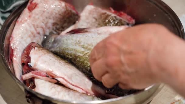 Jovem limpa peixe para cozinhar comida. Remova as escamas da carpa fresca. Peixe de um lago limpo cozinhado na natureza. Conceito de ecologia. Estilo de vida urbano relaxar. Hipster em férias com animais de fazenda. — Vídeo de Stock