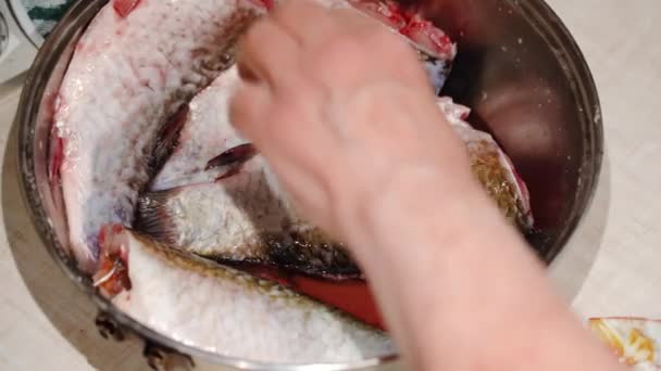 Молодой человек чистит рыбу для приготовления пищи. Снимите чешуи со свежего карпа. Рыба из чистого озера, приготовленного на природе. Экологическая концепция. Городской образ жизни расслабляет. Хипстер в отпуске с домашними животными. — стоковое видео