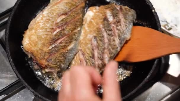 Carpas crujientes fritas y crujientes en aceite. Preparación de sartén de pescado, de cerca — Vídeo de stock