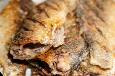 Kızarmış balık haçlısı sazan balığı birbirine yakın duruyor.