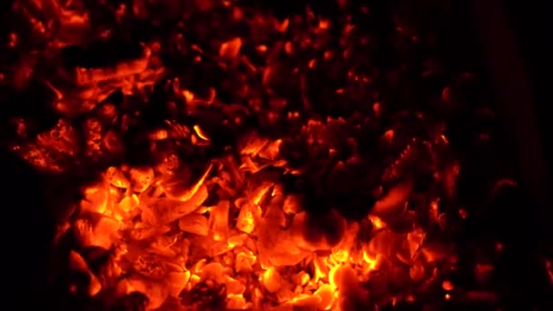 煤在烤架上燃烧 火把木头转化为木炭 — 图库视频影像