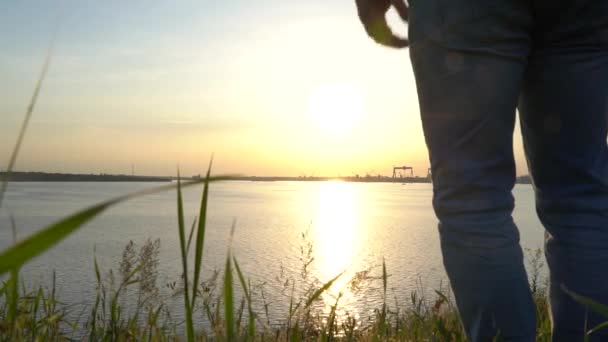 Adam çimlerin üzerine çömelmiş ve nehirde güzel bir günbatımına hayran kalmış.. — Stok video
