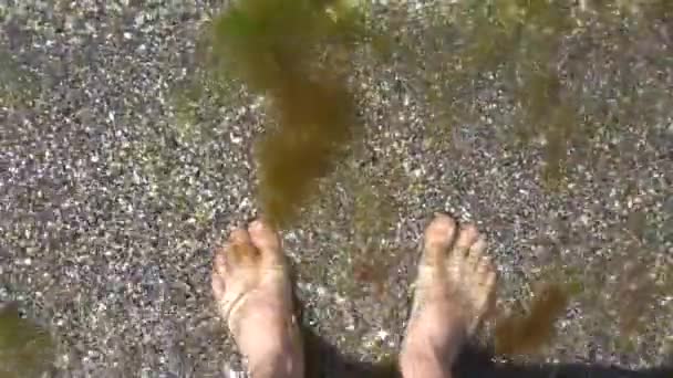 Le gambe stanno in acqua di mare sulla sabbia e sono lavate da onde e alghe — Video Stock