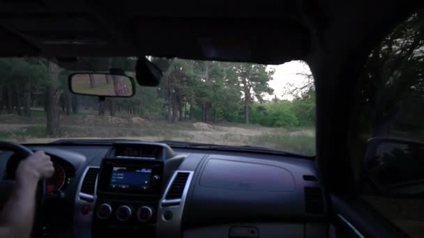 森の穴を克服SUVのコックピットからの眺め — ストック動画