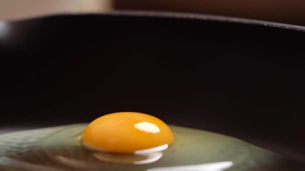 Egg is fried in a frying pan accelerated, side-view, macro. — 비디오