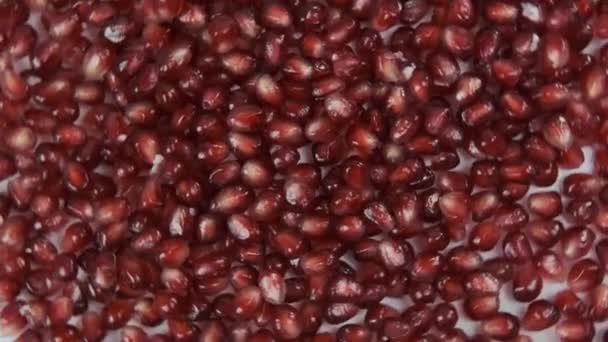 Pomegranate seeds. General view. Rotation. — Stock Video