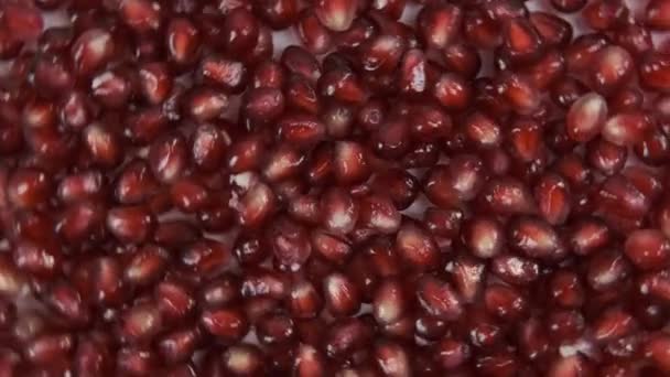 Pomegranate seeds. Medium shot. Rotation. — Stock Video