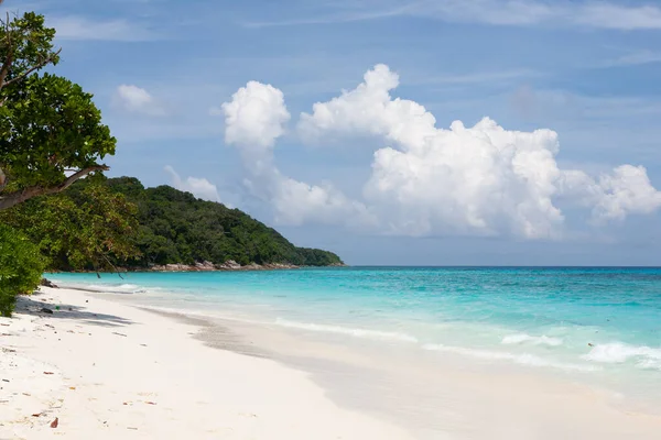 Sandstrand Med Träd Similan Thailand — Stockfoto