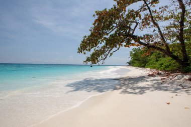Similan, Tayland 'da kumsal